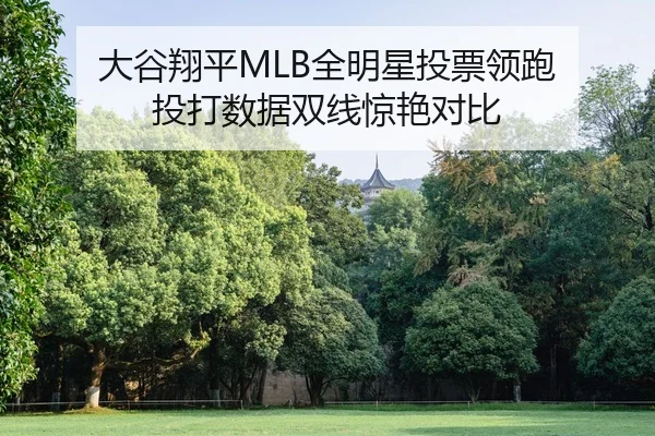 da-gu-xiang-ping-quan-ming-xing-tou-piao-ling-pao-tou-da-shu-ju-shuang-xian-jing-yan-dui-bi-2-347.jpg